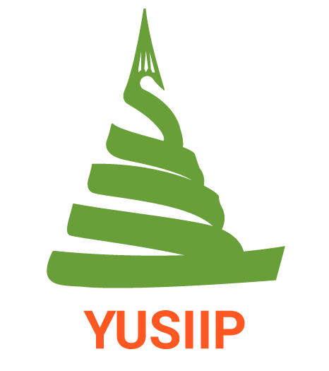 YUSIIP : Un nouveau paradigme pour la gestion et la planification urbaine